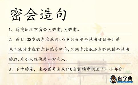 密會(huì)造句