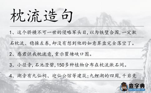 枕流造句