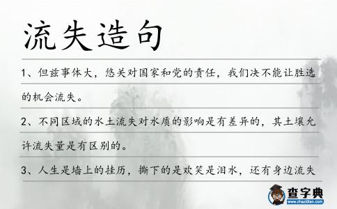 流失造句