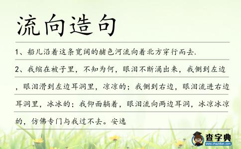 流向造句