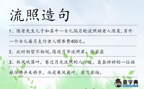 流照造句