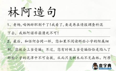 林阿造句