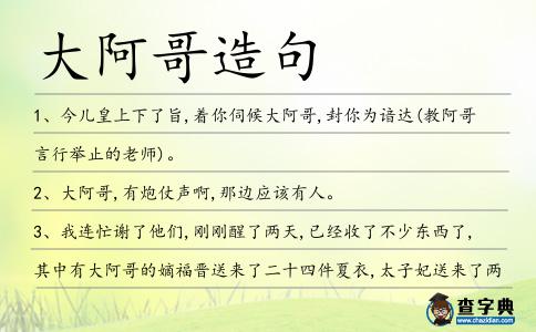 大阿哥造句