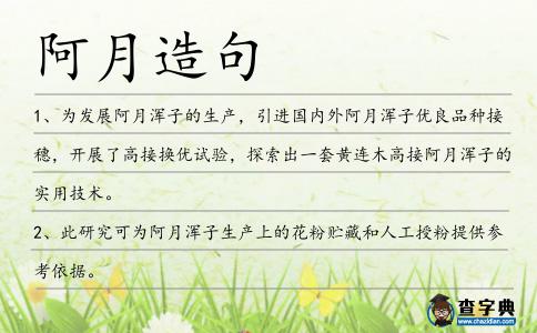 阿月造句
