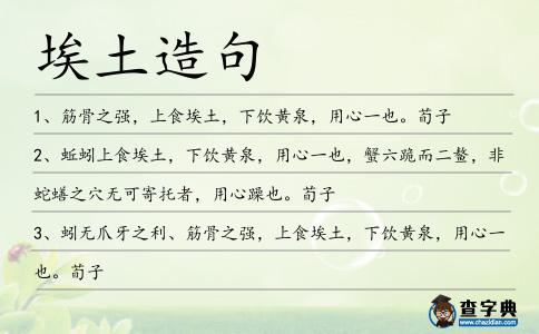 埃土造句
