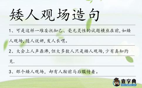 矮人觀場造句