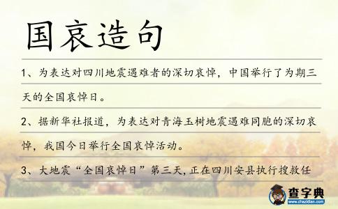 國(guó)哀造句