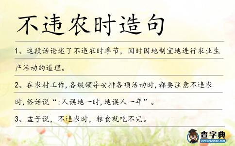 不違農時造句