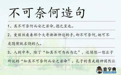 不可奈何造句