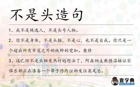 不是頭造句
