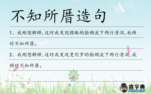不知所厝造句