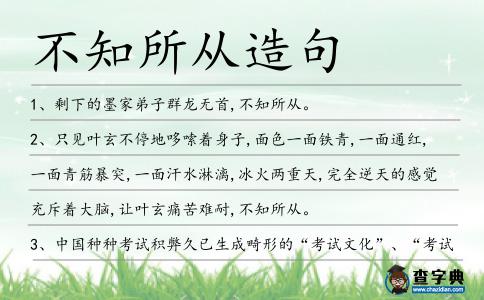不知所從造句