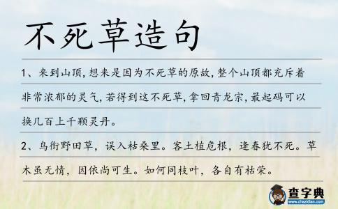 不死草造句