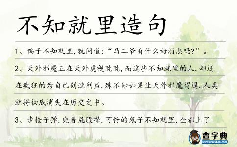 不知就里造句