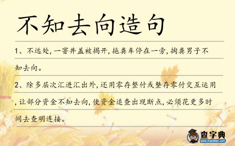 不知去向造句