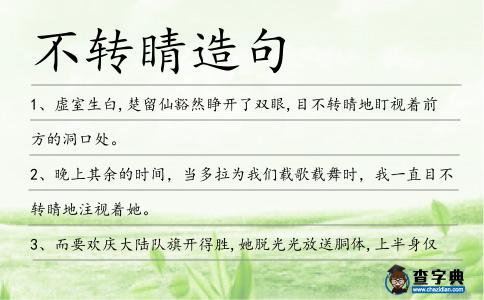 不轉(zhuǎn)睛造句