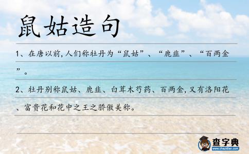 鼠姑造句
