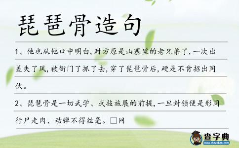 琵琶骨造句