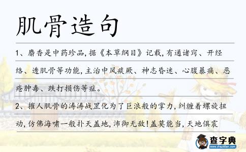 肌骨造句