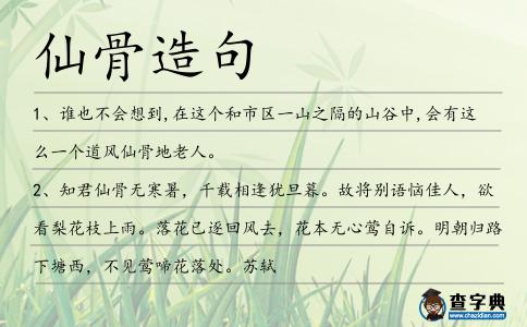仙骨造句