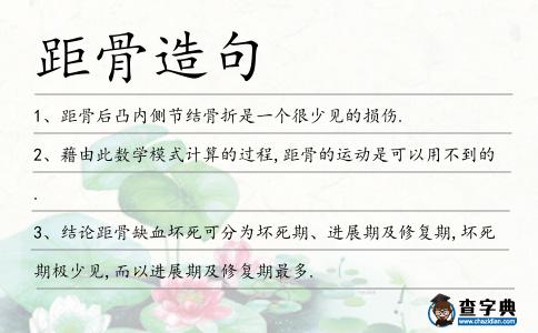 距骨造句