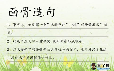 面骨造句