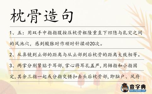 枕骨造句