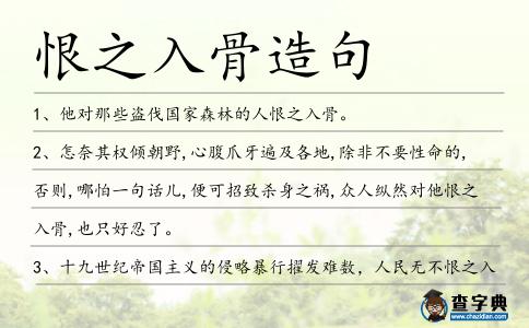 恨之入骨造句