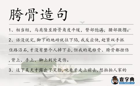 胯骨造句