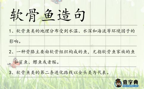 軟骨魚造句