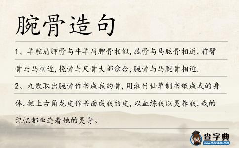 腕骨造句