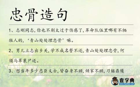 忠骨造句