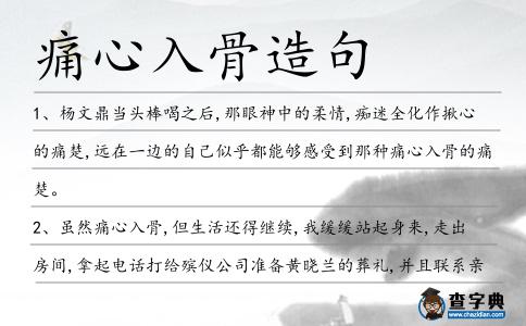 痛心入骨造句