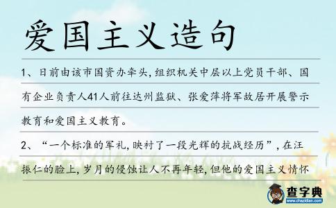 愛國主義造句