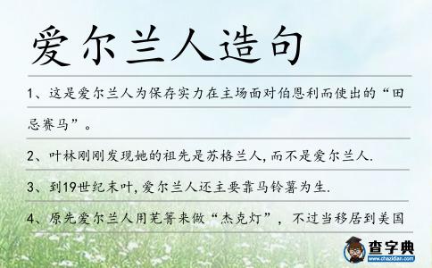 愛爾蘭人造句