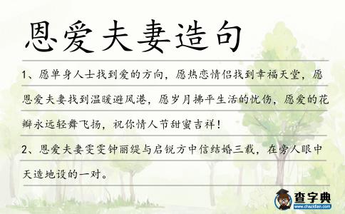 恩愛夫妻造句