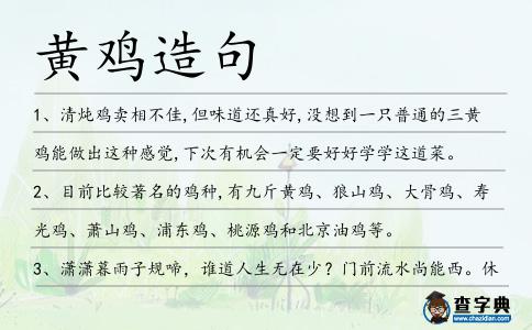 黃雞造句