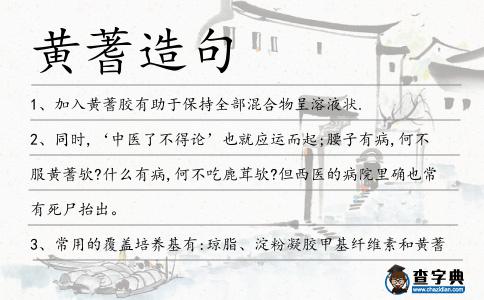 黃蓍造句