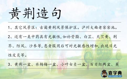 黃荊造句