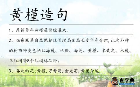 黃槿造句