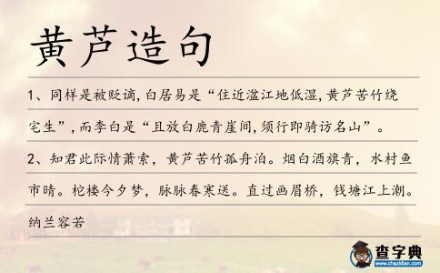 黃蘆造句
