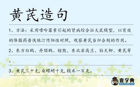 黃芪造句