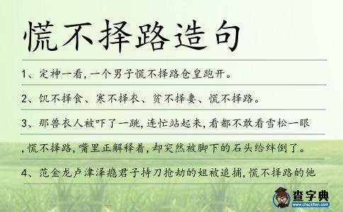 慌不擇路造句