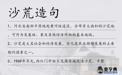沙荒造句