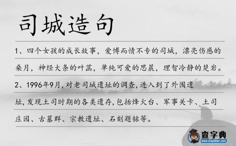 司城造句