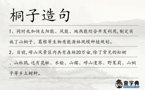 桐子造句
