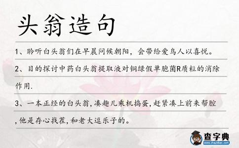 頭翁造句