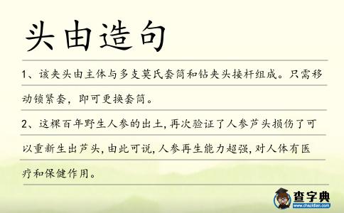 頭由造句