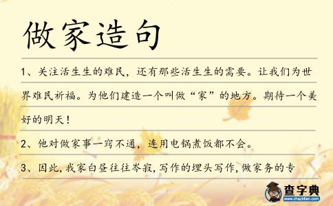 做家造句