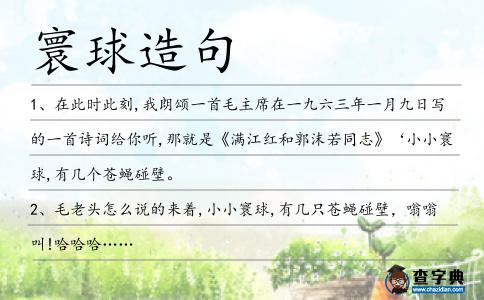 寰球造句